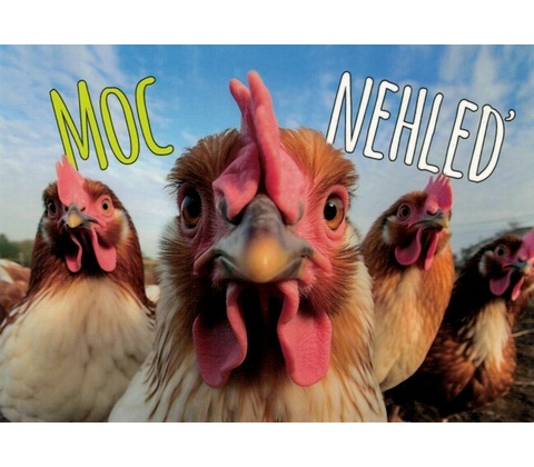 Pohlednice Moc nehleď