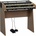 Viscount Cantorum Duo Plus