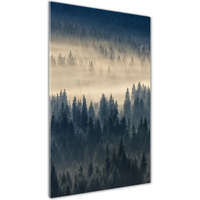Vertikálny fotoobraz na skle Hmla nad lesom 50x100 cm