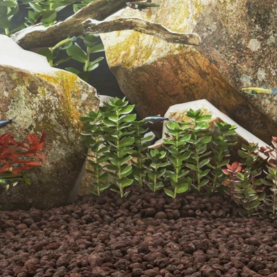 VidaXL sopečné kameny červené 3–5 cm 25 kg