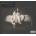 Billie Eilish - When We All Fall Asleep, Where Do We Go? (CD) (0602508556517)