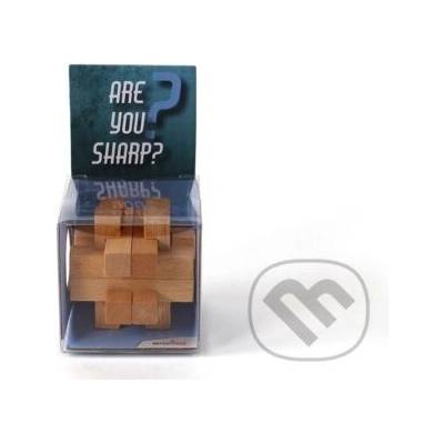RecentToys Are you Sharp LEGO
