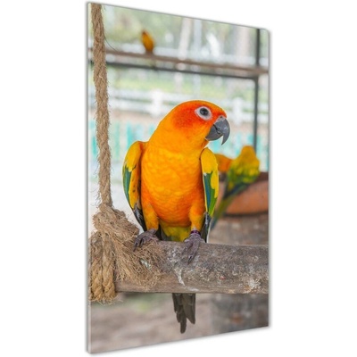 Vertikálny fotoobraz na skle Papagáj 50x100 cm