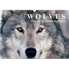 Wolves ? Faces of social hunters Wall DIN A3 landscape CALVENDO 12 Month Wall 2025