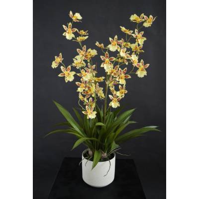 ILA Umělá rostlina Orchidej "Dancing" (70cm) - žlutá