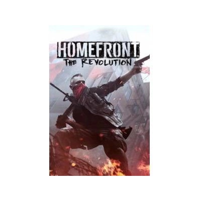 Deep Silver Homefront The Revolution Beyond the Walls (PC)