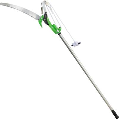 Grasko GR06361