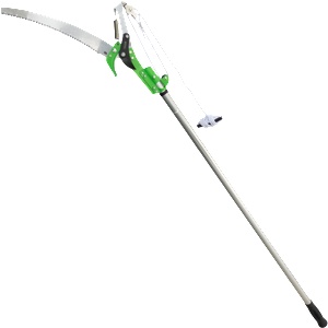 Grasko GR06361