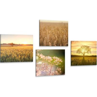 Set obrazů pole při západu slunce - 4x 40x40