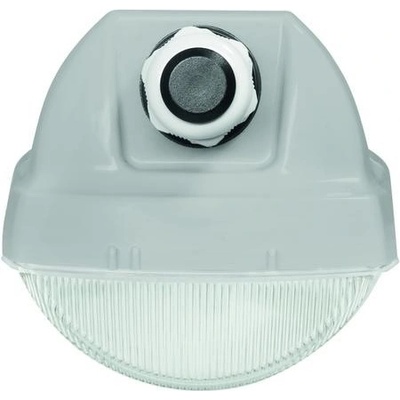Trevos 102823