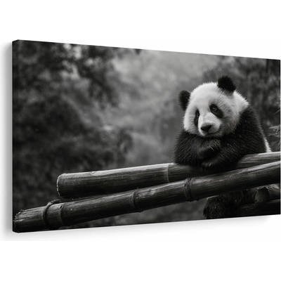 Obraz panda odpočívající na bambusu - 120x80