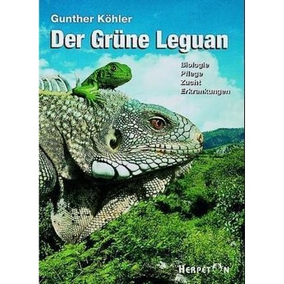 Der Grüne Leguan
