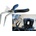 Triumf 5808