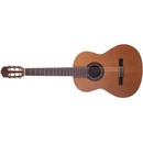 Prodipe Guitars STUDENT