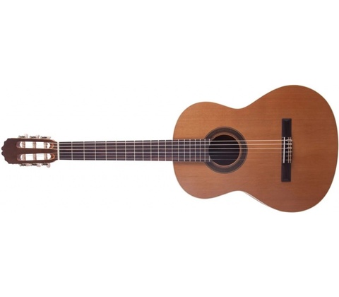 Prodipe Guitars STUDENT