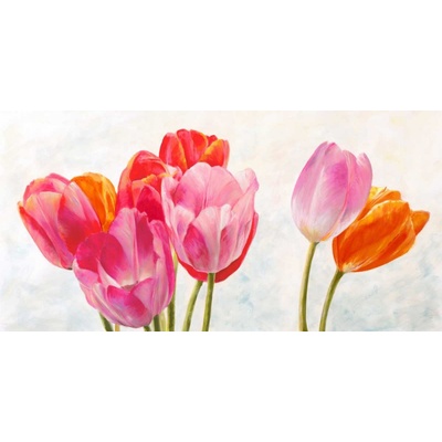 Barevné tulipány 1 plátno 1 120x60