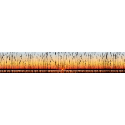 Dimex KI350-129 Fototapeta za linku Sunset rozměry 350 x 60 cm