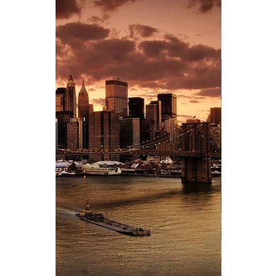 DIMEX MS-2-0002 Vliesová fototapeta New York 150 x 250 cm