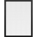 TESLA Smart Air Purifier Pro M 13 TSL-AC-2006HEPA13-ACC