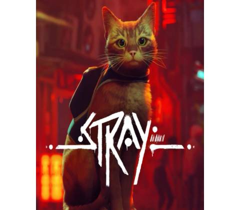 Stray