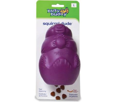 Busy Buddy Squirrel Dude L