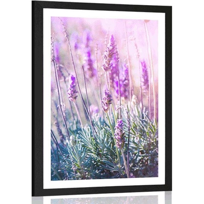 Plakát s paspartou kouzelné květiny levandule - 40x60 black