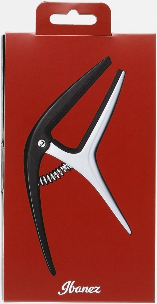 Ibanez ICGC10