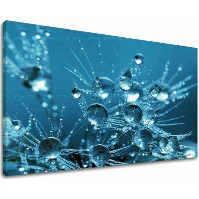 Obraz na stenu KVETY - 100x150