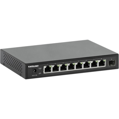 Intellinet 562096