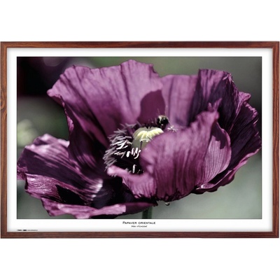 Tradag Rámeček Natura hnědý 70x100 – Zboží Mobilmania