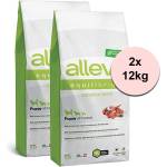 Alleva SP EQUILIBRIUM куче чувствителен агнец кученца всички породи 2 x 12 кг