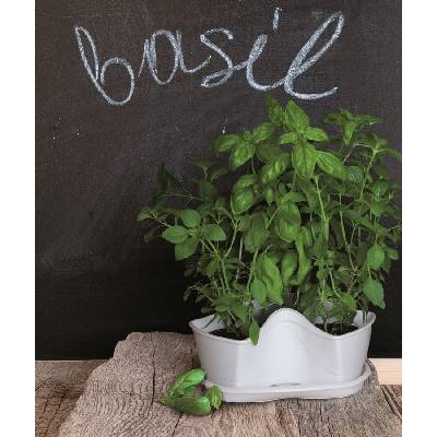 PROSPERPLAST Kvetináč na bylinky COUBI HERBAL biely 29,5cm
