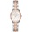 Michael Kors MK6717