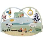 Tiny Love Активна гимнастика TINY LOVE Dynamic Gymini Farmers Funday, 0-36м (Dynamic Gymini)