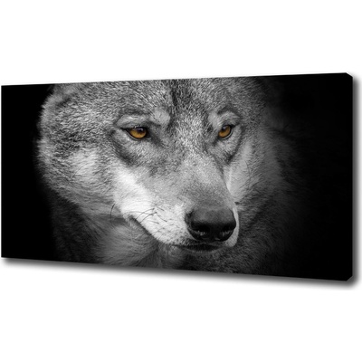 Foto obraz na plátne do obývačky Vlk 100x50 cm