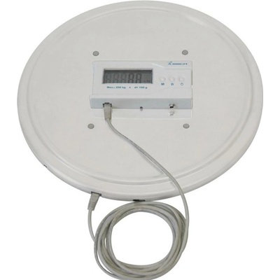 Momert 5971