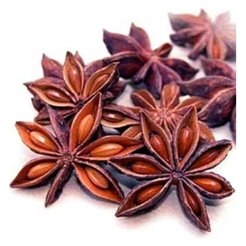 World Herbs Badyán plod celý 1 kg