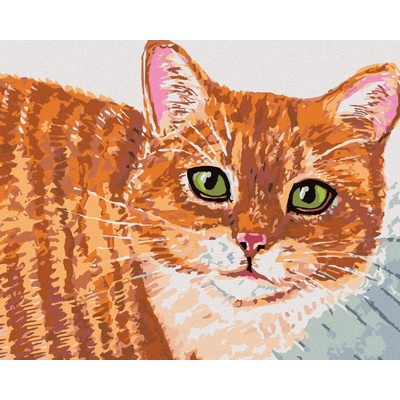 zuty Malování Podle Čísel Béžová Kočka A Zelené Oči 40 x 50 Cm Plátno Rám