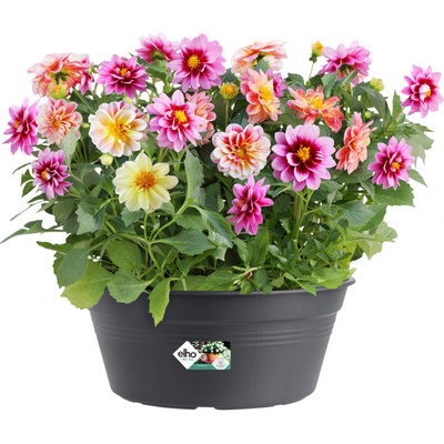 Žardina elho GREEN BASICS BOWL 27 cm černý