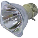 Lampa do projektora BenQ 5J.J2S05.001, originálna lampa bez modulu