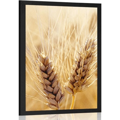 Plakát pšeničné pole - 60x90 no frame