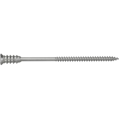 SWG 2346608019 nastavovacia skrutka 6 mm 80 mm ocel 100 ks