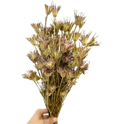 Sušená Nigella Oriental přírodní svazek 90g-95g