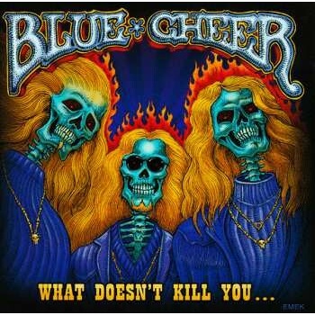 BLUE CHEER: WHAT DOESNT KILL YOU ? CD