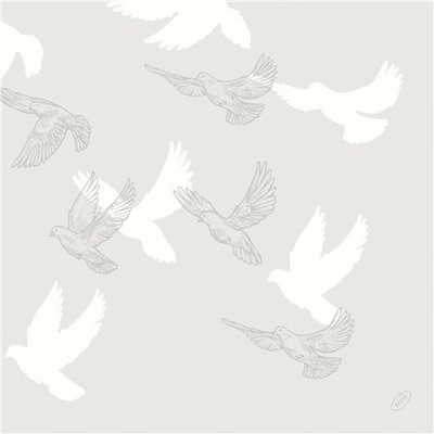 Dunisoft Obrúsok BioSoft Wings 100031861 40x40cm 60ks