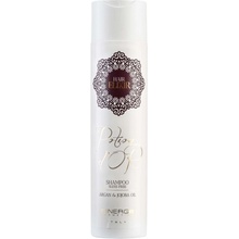 Sinergy Potion D'Or Argan Shampoo 250 ml