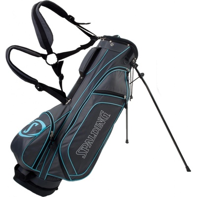 SPALDING SX 35 6" stand bag – Zboží Mobilmania