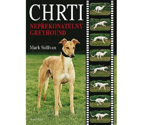 Chrti - Mark S. Sullivan