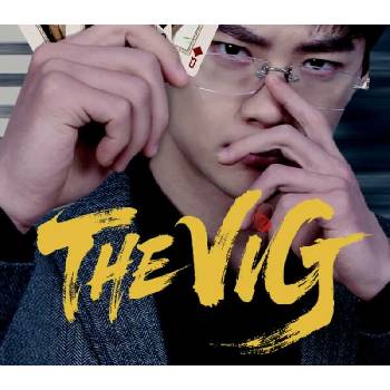 The Vig