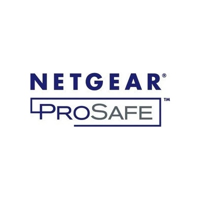 Netgear GSM7328FL-10000S